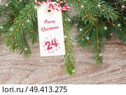 evergreen tree with merry christmas tag for 24 december. Стоковое фото, агентство Ingram Publishing / Фотобанк Лори