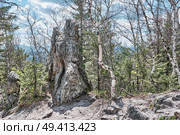 Rocky Outcrop and Trees in Taganay National Park, Southern Urals, Russia. Стоковое фото, фотограф Ирина Кононова / Фотобанк Лори