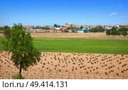 San Clemente village in Cuenca at Castile La Mancha by Saint James Way of levante. Стоковое фото, агентство Ingram Publishing / Фотобанк Лори