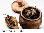 Dried rhizomes and roots of valerian medicinal. Medicinal herbs. Valerian herb root. Стоковое фото, агентство Ingram Publishing / Фотобанк Лори