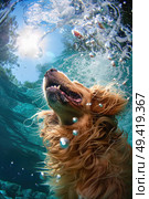 A dog is energetically swimming in the water, creating bubbles as it moves. The bubbles form a trail behind the dog as it enjoys the water. Стоковое AI-изображение, AI-художник Данила Большаков / Фотобанк Лори