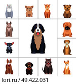 Set of happy doggies portraits, pets are sitting with smiling muzzle and hanging out tongue flat vector illustration isolated on white.. Cute Purebred Dogs Cartoon Flat Vectors Icons Set. Стоковая иллюстрация, агентство Ingram Publishing / Фотобанк Лори