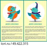 Merry Christmas greeting posters with birds with blue plumage in warm earpieces stands on thin legs isolated vector, christmas animals in headgear.. Merry Christmas Greeting Cards Tiny Birds Posters. Стоковая иллюстрация, агентство Ingram Publishing / Фотобанк Лори