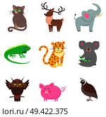 Vector illustration of brown owl and quail, pink pig, gray koala and elephant, spotty jaguar, green iguana, domestic cat and horned deer. Nine icons with animals for children in cartoon design.. Quail, Pig, Koala, Elephant, Jaguar, Iguana, Deer. Стоковая иллюстрация, агентство Ingram Publishing / Фотобанк Лори