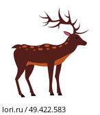 Medium-sized adult male deer with spotted fur, long antlers and short tail isolated vector illustration on white background, view from Left. Male Deer View from Left Isolated Illustration. Стоковая иллюстрация, агентство Ingram Publishing / Фотобанк Лори