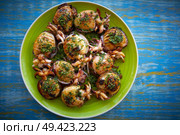 Grilled cuttlefish squid with parsley sauce and garlic lemon on green plate. Стоковое фото, агентство Ingram Publishing / Фотобанк Лори