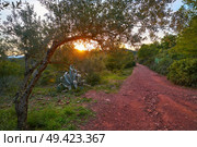 sunset at Calderona Sierra of Valencia at spain. Стоковое фото, агентство Ingram Publishing / Фотобанк Лори
