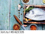Fresh uncooked dorado or sea bream fish with herbs and spices on cooking board. Dorado and ingredients for cooking. Стоковое фото, агентство Ingram Publishing / Фотобанк Лори