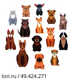 Cartoon dog breeds isolated on white background. Small and big dogs vector illustration. Adorable, funny and loyal humans friends. Hunting, protection and decorative species from all over world.. Cartoon Dog Breeds Isolated Illustrations Set. Стоковая иллюстрация, агентство Ingram Publishing / Фотобанк Лори