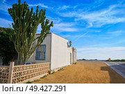 Nova Tabarca island facades in Alicante Spain. Стоковое фото, агентство Ingram Publishing / Фотобанк Лори