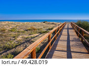 Arenals del Sol Beach dunes in Elche Elx of Alicante in Costa Blanca at Spain. Стоковое фото, агентство Ingram Publishing / Фотобанк Лори