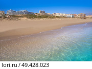 Arenals del Sol Beach in Elche Elx of Alicante in Costa Blanca at Spain. Стоковое фото, агентство Ingram Publishing / Фотобанк Лори