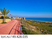 Arenals del Sol Beach in Elche Elx of Alicante in Costa Blanca at Spain aerial view. Стоковое фото, агентство Ingram Publishing / Фотобанк Лори