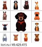 Dachshund in center and other dog breeds as frame isolated on white background. Vector illustrations of quadruped humans friends. Hunting, protection and decorative species from all over world.. Dachshund and Other Dog Breeds Illustrations Set. Стоковая иллюстрация, агентство Ingram Publishing / Фотобанк Лори