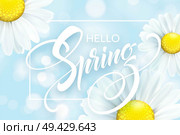 Daisy Flower Background and Hello Spring Lettering. Vector Illustration EPS10. Daisy Flower Background and Hello Spring Lettering. Vector Illustration. Стоковая иллюстрация, агентство Ingram Publishing / Фотобанк Лори