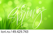 Frash Spring green grass background with handwriting lettering. Vector illustration EPS10. Frash Spring green grass background with handwriting lettering. Vector illustration. Стоковая иллюстрация, агентство Ingram Publishing / Фотобанк Лори