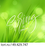 Frash Spring green grass background with handwriting lettering. Vector illustration EPS10. Frash Spring green grass background with handwriting lettering. Vector illustration. Стоковая иллюстрация, агентство Ingram Publishing / Фотобанк Лори