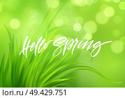 Frash Spring green grass background with handwriting lettering. Vector illustration EPS10. Frash Spring green grass background with handwriting lettering. Vector illustration. Стоковая иллюстрация, агентство Ingram Publishing / Фотобанк Лори
