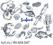 Exotic seafood such as huge octopus, ocean crab, long eel, king shrimp, ink squid, fresh lobster, tasty salmon and mollusks vector illustrations.. Exotic Seafood Monochrome Sketch Illustrations Set. Стоковая иллюстрация, агентство Ingram Publishing / Фотобанк Лори