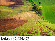 Sunset lines and waves in the spring, South Moravia, Czech Republic. sunset lines and waves in the spring. Стоковое фото, агентство Ingram Publishing / Фотобанк Лори