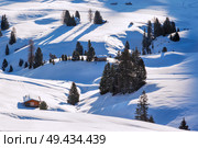 long shadows at morning in winter on Alpe di Siusi, Dolomites, Italy. Winter sunrise over Alpe di Siusi Dolomites, Italy. Стоковое фото, агентство Ingram Publishing / Фотобанк Лори