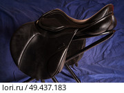 Black leather professional jumping saddle without stirrup. Стоковое фото, агентство Ingram Publishing / Фотобанк Лори