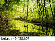 River with green color reflecting from the trees in the spring. Стоковое фото, агентство Ingram Publishing / Фотобанк Лори