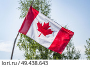 Canadian flag on a wooden stick with trees in the background. Стоковое фото, агентство Ingram Publishing / Фотобанк Лори