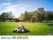 Goat standing on a rock at a barnyard with geese in the background. Стоковое фото, агентство Ingram Publishing / Фотобанк Лори