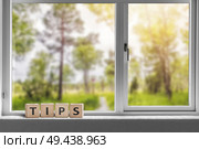 Tips sign in a window with a view to a green garden with tall trees in sunlight. Стоковое фото, агентство Ingram Publishing / Фотобанк Лори