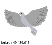 Gorgeous albino dove flies and spreads large wings isolated cartoon flat vector illustration on white background. Small bird that symbolizes love.. Gorgeous White Dove Flies and Spreads Large Wings. Стоковая иллюстрация, агентство Ingram Publishing / Фотобанк Лори