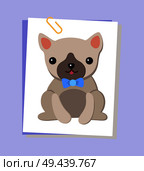 Dog picture, pug breed of pet, poster with domestic animal and bow on neck, decoration and symbol of year, isolated on purple vector illustration. Dog Picture Pug and Bow Poster Vector Illustration. Стоковая иллюстрация, агентство Ingram Publishing / Фотобанк Лори