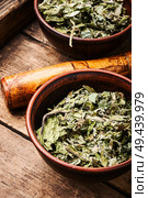Healing herbs.Dry leaves of coltsfoot on wooden background.Tussilago farfara. Healing dry foliage coltsfoot. Стоковое фото, агентство Ingram Publishing / Фотобанк Лори