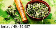 Healing herbs.Dry leaves of coltsfoot.Tussilago farfara.Herbal alternative medicine. Healing dry foliage coltsfoot. Стоковое фото, агентство Ingram Publishing / Фотобанк Лори