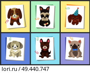 Puppies and dogs poster set, collection of pets pictures, creatures of different breeds and colors, in cap and bows, isolated on vector illustration. Dog on a piece of paper clamped with a paper clip. Puppies and Dogs Poster Set Vector Illustration. Стоковая иллюстрация, агентство Ingram Publishing / Фотобанк Лори
