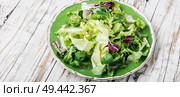 Fresh salad plate with mixed greens.Healthy food. Summer vitamin salad. Стоковое фото, агентство Ingram Publishing / Фотобанк Лори