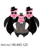 Funny cartoon capitalist pig caricature. Rich piggy boss with cigar, monocle and top hat. Стоковая иллюстрация, агентство Ingram Publishing / Фотобанк Лори