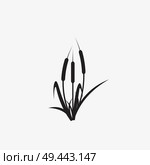 reeds illustration vector icon. Стоковая иллюстрация, агентство Ingram Publishing / Фотобанк Лори