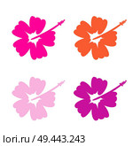 Hibiscus flower set - surfing and tropical symbol. Стоковая иллюстрация, агентство Ingram Publishing / Фотобанк Лори