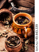 Cup of healthy herbal tea.Cowberry leaf tea. Herbal tea and ingredients. Стоковое фото, агентство Ingram Publishing / Фотобанк Лори