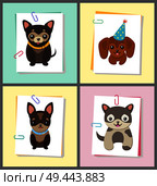 Puppies and dogs poster set, collection of pets pictures, creatures of different breeds and colors, in cap and bows, isolated on vector illustration. Dog on a piece of paper clamped with a paper clip. Puppies and Dogs Poster Set Vector Illustration. Стоковая иллюстрация, агентство Ingram Publishing / Фотобанк Лори