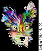Dog portrait in digital oil colors on black background on subject of love, friendship, faithfulness, companionship between dog and man. God bless animals series. Стоковое фото, агентство Ingram Publishing / Фотобанк Лори