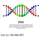 DNA icon of genetic personal code, deoxyribonucleic acid chain symbol with place for text, logotype of nucleotides carrying genetic instructions vector. DNA Icon of Genetic Code, Deoxyribonucleic Acid. Стоковая иллюстрация, агентство Ingram Publishing / Фотобанк Лори