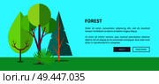 Forest banner with green different trees, deforestation concept. Environmentally safe nature with plants and bushes on green lawn. Forest Vector Web Banner with Trees and Bushes. Стоковая иллюстрация, агентство Ingram Publishing / Фотобанк Лори