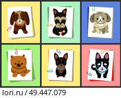 Puppies and dogs poster set, collection of pets pictures, creatures of different breeds and colors, isolated on vector illustration. Dog on a piece of paper clamped with a paper clip. Puppies and Dogs Poster Set Vector Illustration. Стоковая иллюстрация, агентство Ingram Publishing / Фотобанк Лори