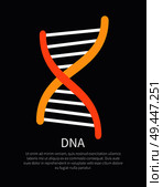 DNA yellow and orange helix colorful illustration isolated on black background, white vector lines, DNA code example, text sample on banner bottom. DNA Yellow and Orange Helix Colorful Illustration. Стоковая иллюстрация, агентство Ingram Publishing / Фотобанк Лори