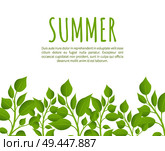 Summer banner template with fresh thick weed grass and sample text. Branches of herbal plant with big leaves cartoon vector illustration on poster.. Summer Banner Template with Fresh Thick Weed Grass. Стоковая иллюстрация, агентство Ingram Publishing / Фотобанк Лори