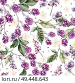 Beautiful watercolor spring pattern with blackberry and flowers anemone, lavender. Illustration. Beautiful watercolor spring pattern with blackberry and flowers anemone, lavender. . Стоковое фото, агентство Ingram Publishing / Фотобанк Лори