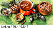 Tea with pine buds for treating colds.Pine buds.Herbal medicine.Herbal medicinal tinctures. Tea with pine buds. Стоковое фото, агентство Ingram Publishing / Фотобанк Лори