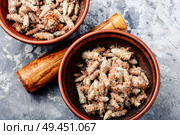 Pine buds for treating colds.Pine buds.Dried pine shoots. Pine buds, natural healer. Стоковое фото, агентство Ingram Publishing / Фотобанк Лори